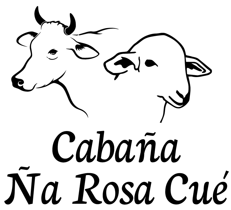 Logo de logo de ña rosa cue